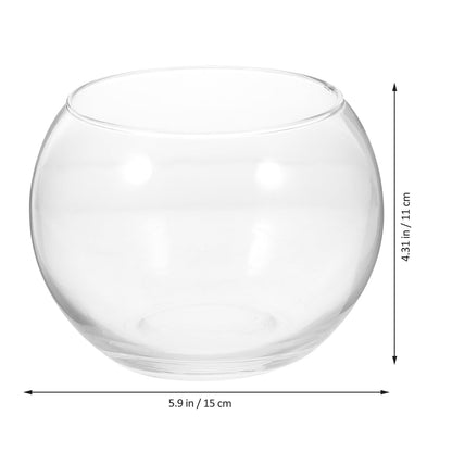 SECFOU 2pcs 15cm Glass Vase Hydroponic Plant Holder Decorative Desktop Flower Pot for Home Office Fish Tank Terrarium Bowl