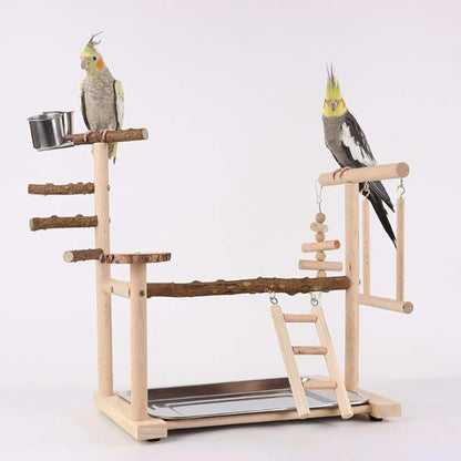 Wooden Parrot Playground Stand, Bird Play Gym for Small Medium Large Parrots, Natural Wood Bird Perch Stand for Parakeet Cockatiel Conure African Grey Macaw, Stable Easy-to-Clean Play Area