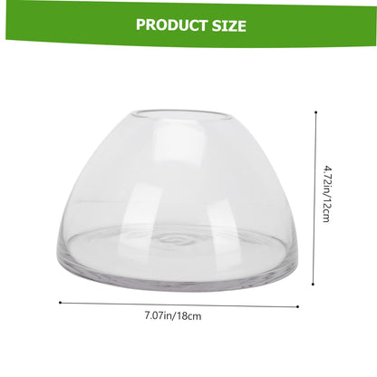 FONDOTIN Micro Landscape Bottle for Home Decor Borosilicate Glass Terrarium Holder Decorative Plant Ecosystem Container for Small Indoor Plants