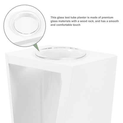 BESPORTBLE Hydroponic Plant Vase with White Wooden Rack, Glass Test Tube Propagation Station for Indoor Wall Garden, Small Terrarium Kit for Home and Office Décor