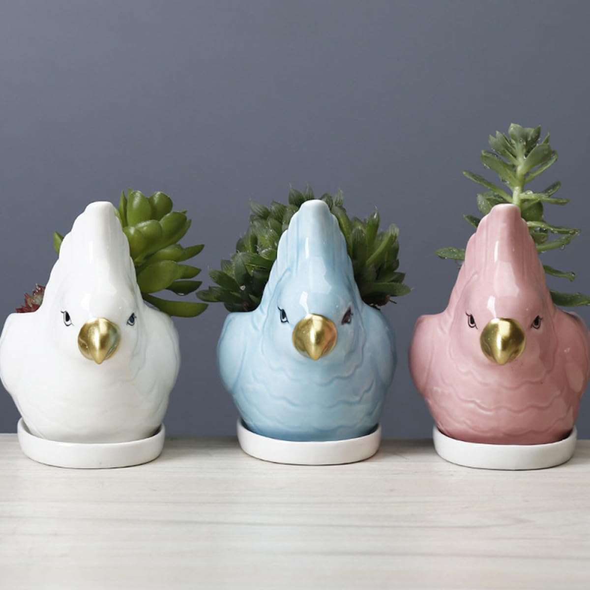 VILLCASE Ceramic Succulent Planter with Saucer Cartoon Bird Flower Pot Desktop Bonsai Pot for Indoor Balcony Gardening Decor