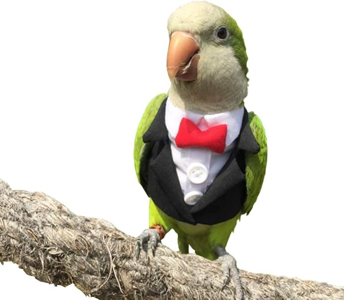 Bird Clothes Birds Flight Suit,Tuxedo Business Suit for Parrots African Greys Parakeet Cockatiel Sun Conure Christmas Party Birthday Cosplay Photo Prop Small Animals Apparel (3XL,Black Suit)
