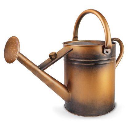 Megawodar 1 Gallon Metal Watering Can with Removable Spout, Nice Galvanized Steel Water Can for Indoor and Outdoor Plants (House Plants)