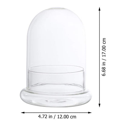 2pcs Cloche Glass Dome with Air Hole and Base, Clear Glass Terrarium Plants Bell Jar Humidity Dome for Smallplants, Home Indoor Tabletop Decoration (No Plants)