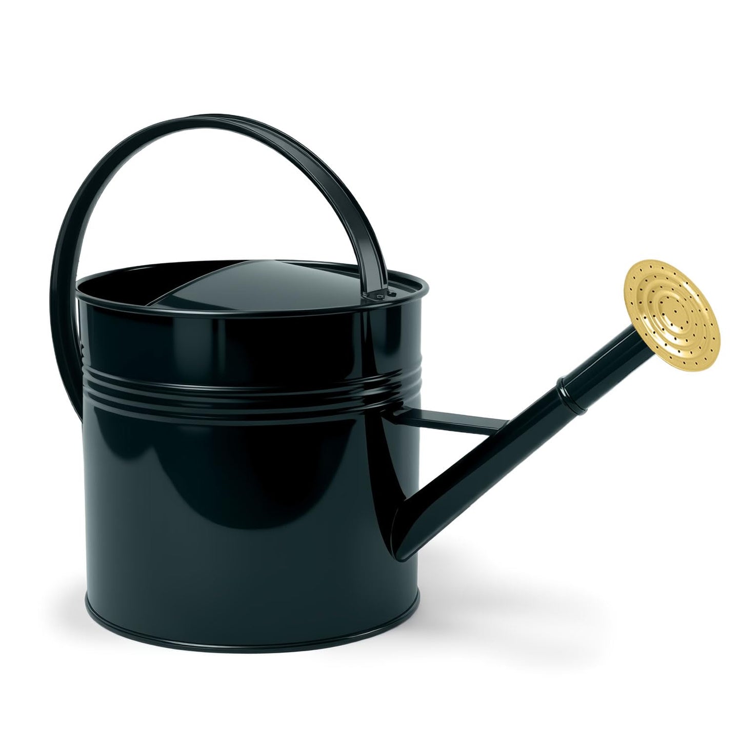 LONGRUN 2.5 Gallon Dark Green Metal Watering Can for Plants and Garden with Removable Spout, Made of Galvanized Iron