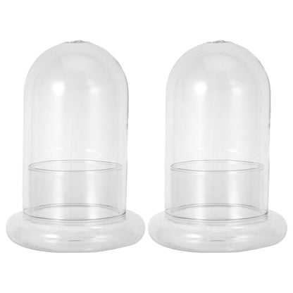 Yardwe 2Pcs Micro Landscape Bottle Terrarium Glass Jars - 6.69X4.72X4.72In Ecological Decorative Bottles for Home Office DIY Plant Display