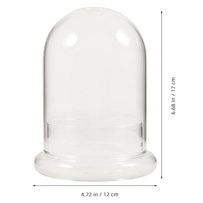 HOLIDYOYO Landscape Terrarium Bottle Glass Display Jar for Plant Arrangements for Home Office Garden Decor