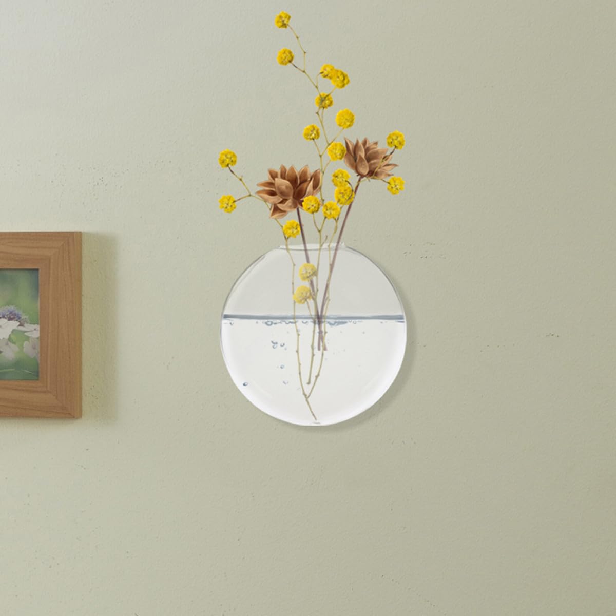 BESPORTBLE 2pcs Wall Mounted Glass Hydroponic Flower Vases, Flat Glass Terrarium Containers for Indoor Plant Propagation and Wall Décor