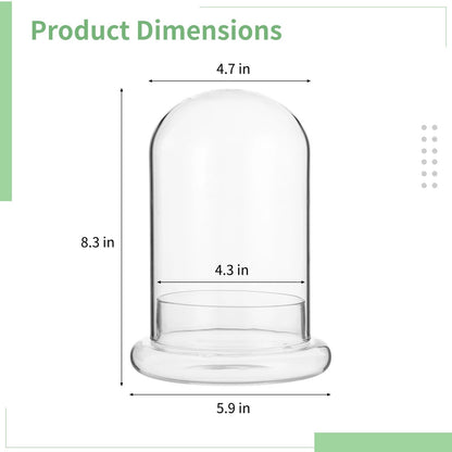 Glass Display Cloche Dome, 8.3 x 5.9 in Plant Terrarium Container with Base, Clear Glass Cover, Decorative Tabletop Display Case for Plants, Flowers, Collectibles & Keepsakes