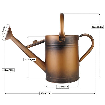 Megawodar 1 Gallon Metal Watering Can with Removable Spout, Nice Galvanized Steel Water Can for Indoor and Outdoor Plants (House Plants)