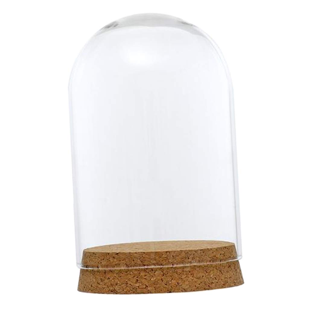 FLAMEER 10Pieces 8x12cm Clear Glass Dome Cover Cloche Bell Jar Succulent Terrariums w/Wooden Cork Base Home Study Room Decor