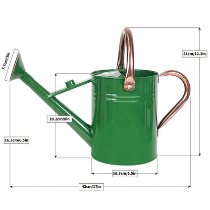 Megawodar 1 Gallon Metal Watering Can with Removable Spout, Nice Galvanized Steel Water Can for Indoor and Outdoor Plants (House Plants)
