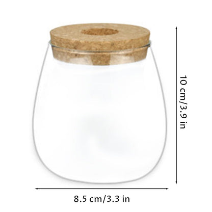 Propagation Vases for Plants, Clear Glass Terrarium Jar with Wooden Stopper for Hydroponics, Creative Home Decor and Tabletop Plant Propagation Station, Terrarium Jar
