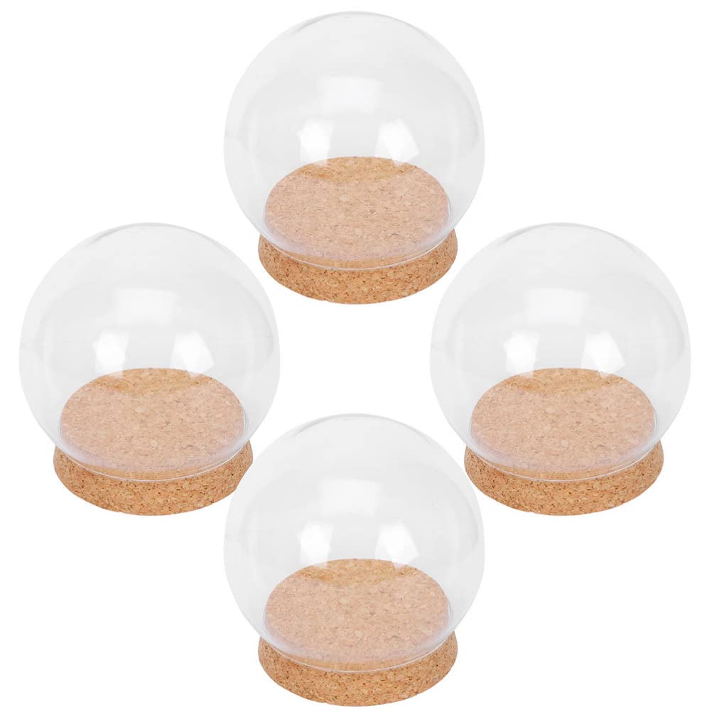 Sewroro 4 Pcs Clear Glass Cloche Globe Display Dome with Cork Base Glass Plant Terrarium Preserved Flower Dome Cover Keepsake Globe Display Case for Lamp Succulents Home Decor