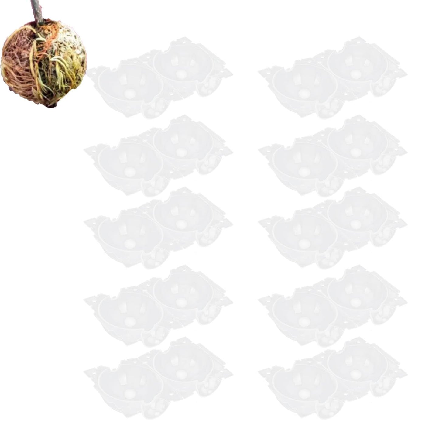 10PCS Air Layering Pods, Reusable High Pressure Plant Propagation Tray Rapid Plant Rooting Grow Box Grafting Device for 3-9mm Tree Plant Branches Asexual Reproduction