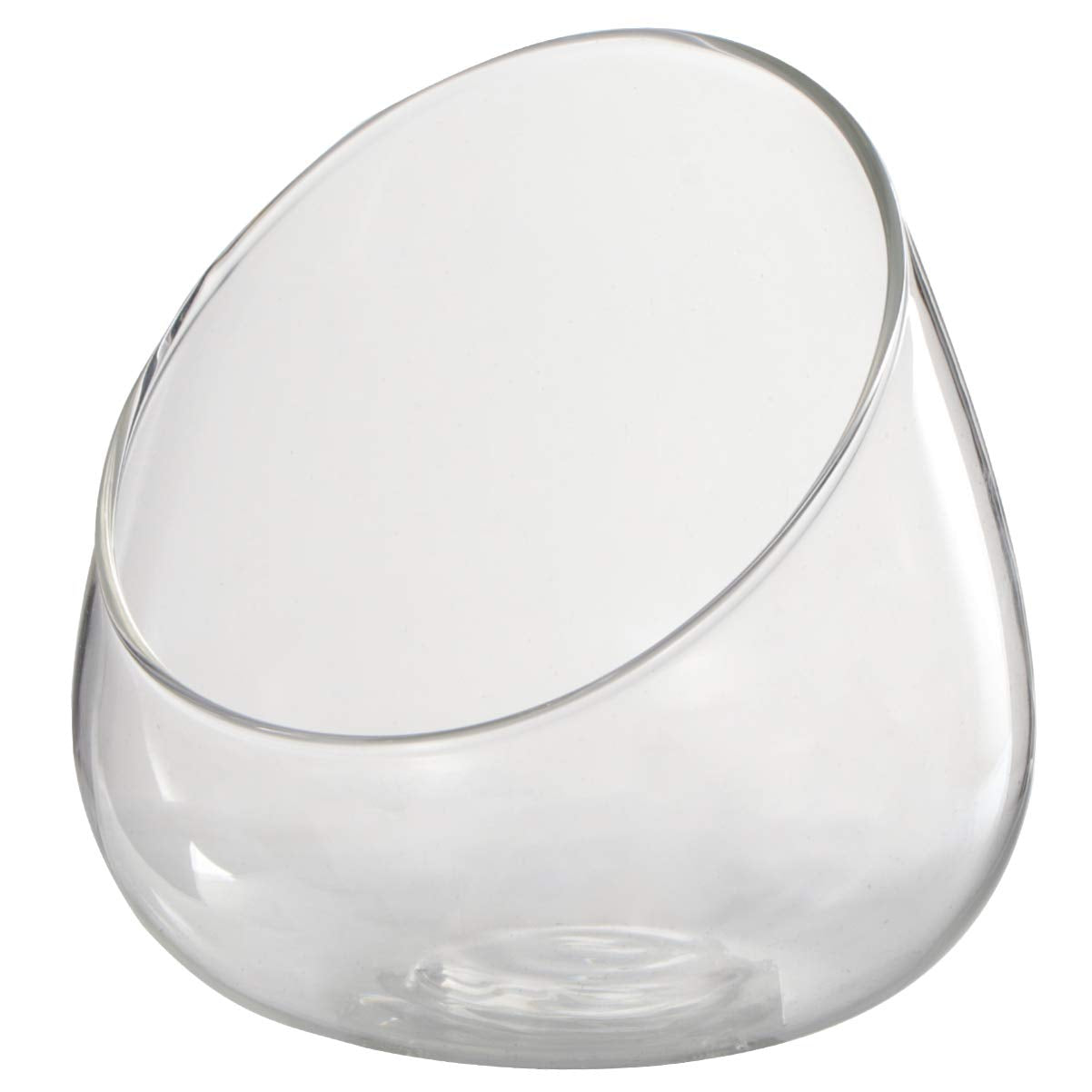 Cabilock Clear Slant Cut Bubble Bowl Glass Vase Bowl Round Globe Planter Terrarium Orb Candy Dish Fruit Jar Floral Container for Home Office Decor