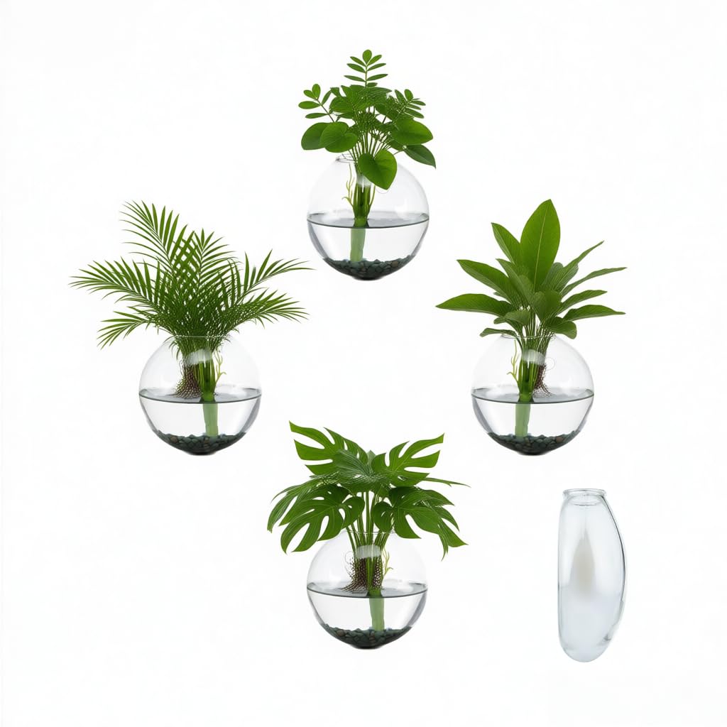 OQUQO 4 pcs Glass Wall Hanging Planter, Oval Terrarium Vase, Propagation Station for Hydroponics, Indoor Plants, Home Office Decor (Medium)