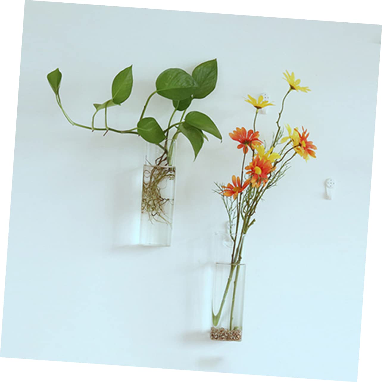 YARNOW Creative Hanging Glass Vase for Flower Planting Wall Mounted Terrarium Container Unique Design for Home Decoration for Succulents and Indoor Plants