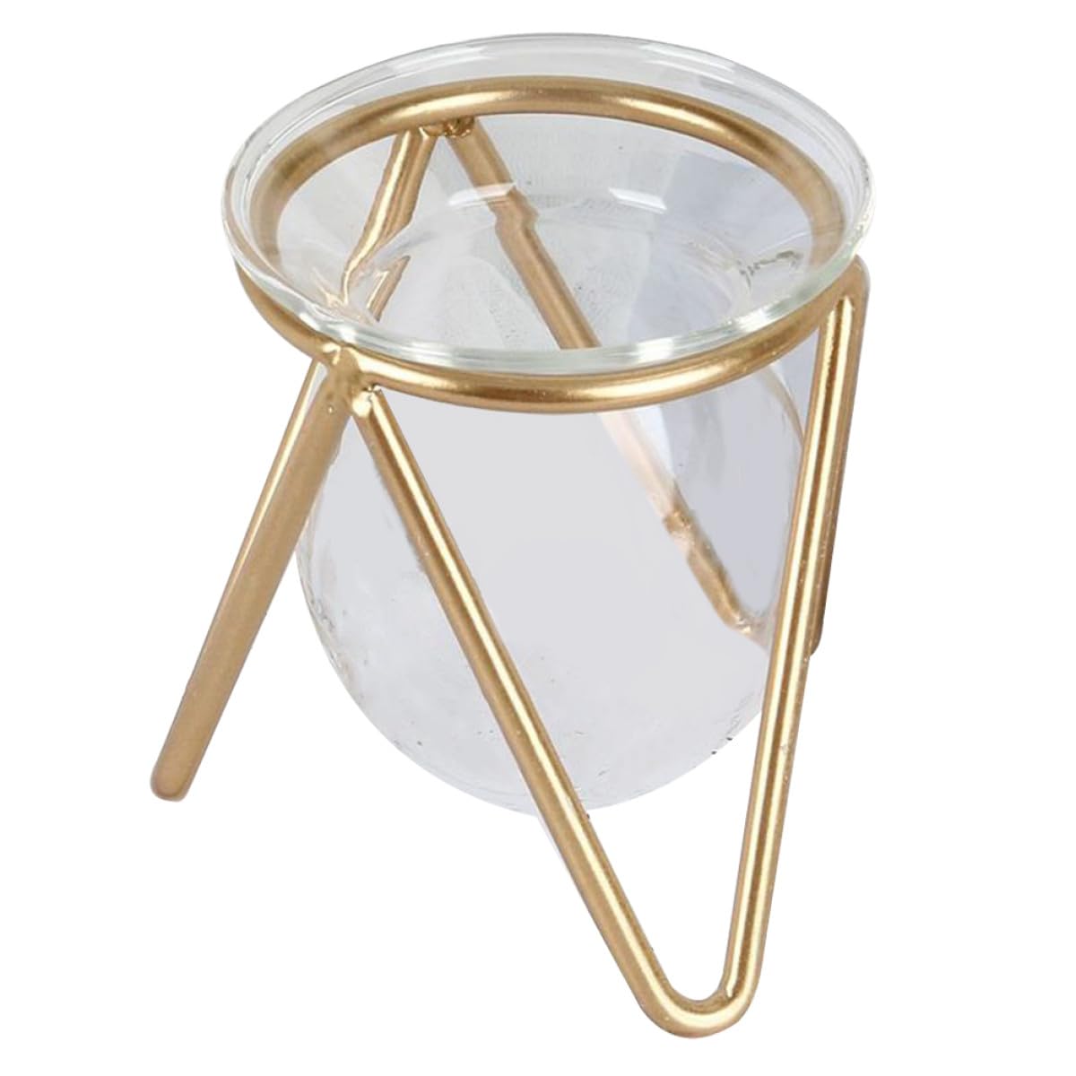 Unomor Glass Hydroponic Plant Vase with Gold Metal Stand Small Tabletop Flowerpot for Indoor Air Plants and Terrarium Décor for Home and Wedding