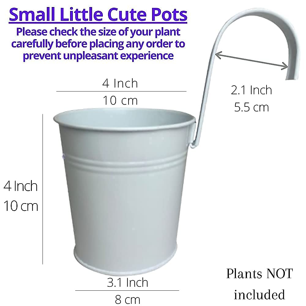 ShopLaLa Bundle - 4 Inch Metal Pots + 2 Wooden Plants Holders, Great Value Pack to Create Vertical Garden, Herb Planters, Green Wall, Vertical Planters