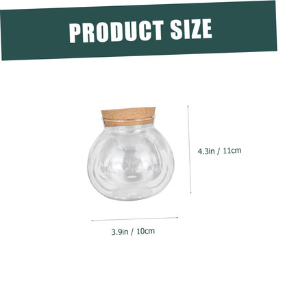 MAGICLULU 2pcs Glass Plant Terrarium Holder for Desktop Decor Moss Plant Bottle for Indoor Greenery Transparent Watering for