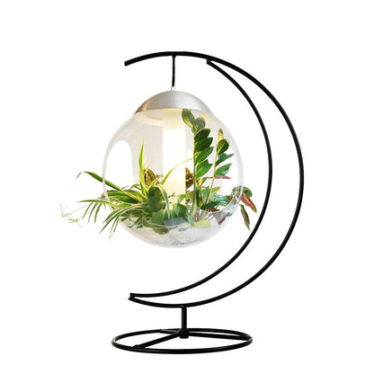 CXLE Ornament Display Stand - Iron Pothook Stand for Hanging Glass Globe, Air Plant Terrarium, Witch Ball, Christmas Ornament and Home Wedding Decoration