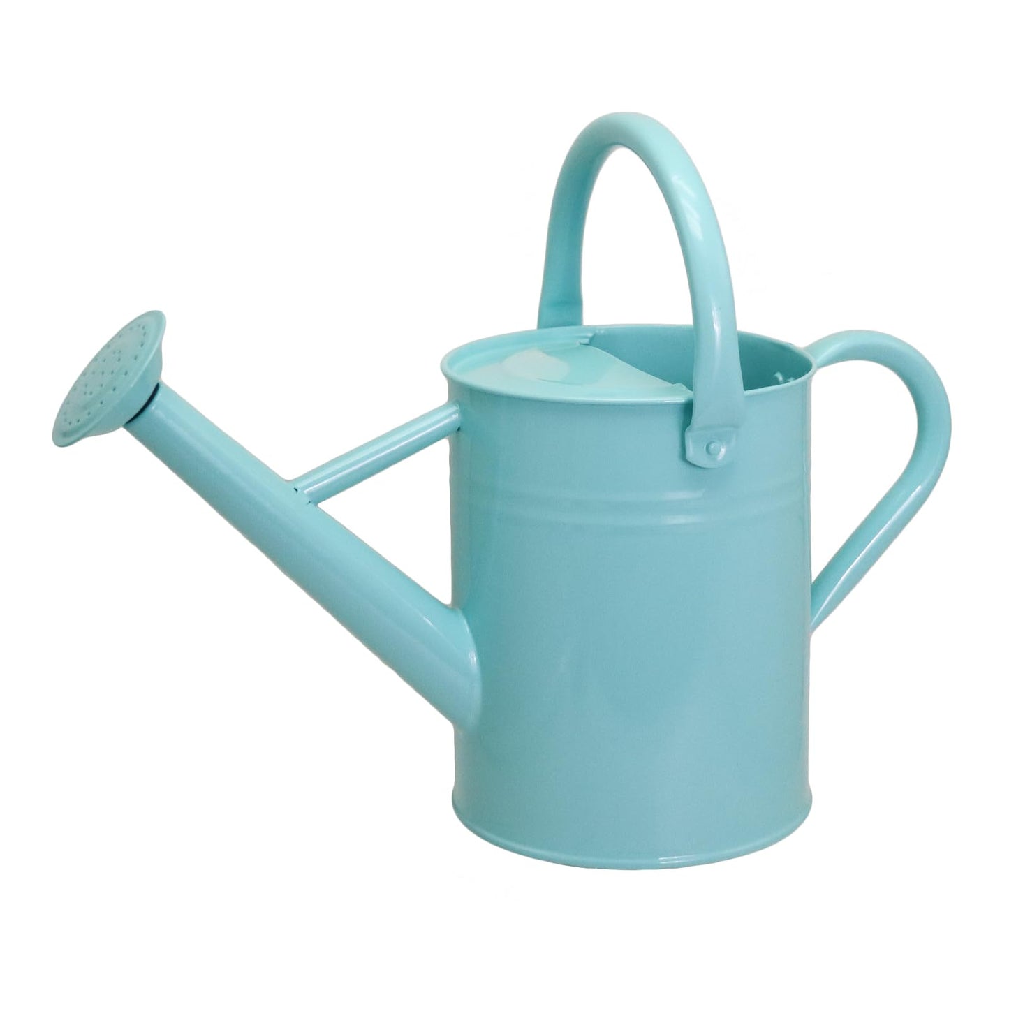 Lechloris Metal Watering Can for Outdoor Plants, 1 Gallon Galvanized Steel Watering Can with Removable spout for Outdoor & Indoor Use, Perfect for Garden Flower, Houseplants, Mint