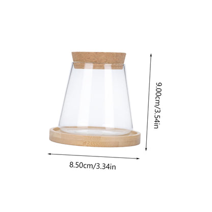 ETHZZLE Hydroponic Glass Vase with Wooden Stand Transparent Plant Propagation Station for Office Multifunctional Simple Flower Pot Desktop Greenery Terrarium Home Decoration and