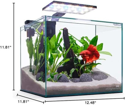 Imagitarium by Petco Glass Betta Aquarium Kit 5 Gallons