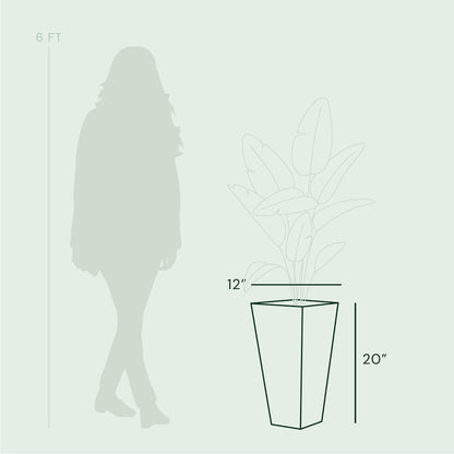Bloem Tall Finley Tapered Square Planter: 20" - Cement Gray - Matte Textured Finish, 100% Recycled Plastic Pot, for Indoor and Outdoor Use, Gardening, 5 Gallon Capacity