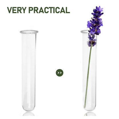 Beaupretty 5pcs Glass Hydroponic Test Tube Plant Vases for Small Terrarium Plants Floral Propagation Tubes 2.5x3x15cm Glass Containers for Indoor Garden Décor