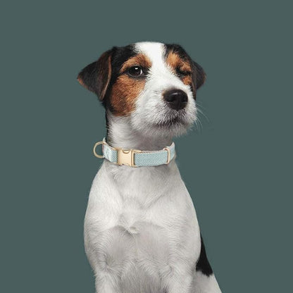 Luxury Soft Cotton Tweed Fabric Dog Collar & Leash Set with Gold Buckle – Durable Fabric, Stylish Design for Everyday Walks(Small LtBlue)