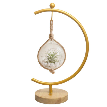 MADOCEGO Large Ornament Display Stand for Hanging Glass Globe, Air Plant, Witch Ball, Christmas Ornament and Home Wedding Decoration(
