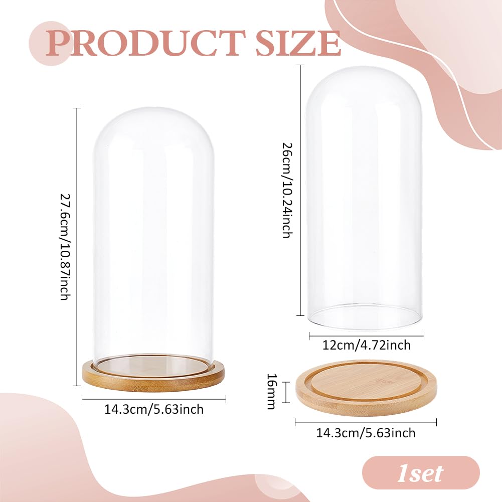 PH PandaHall Glass Cloche Display Dome 5.6x10.9inch Bamboo Base Bell Jar Clear Terrarium Display Dome Cloche Bottles Storage Case Decorative Centerpiece Stand for Plants Flower Succulent Home Decor
