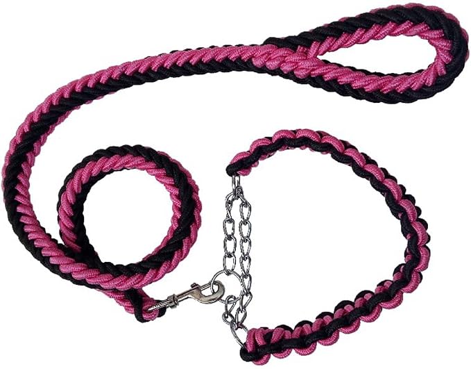 Love Dream Dog Collar and Leash Set, Heavy Duty Nylon Braided Rope Strong 4 FT Dog Leash and Martingale Training Collar for Small Medium Large Dogs Training and Walking (Black & Pink)