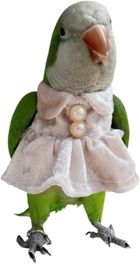 Bird Costume Bird Diaper Flight Suit Parrot Velvet Fleece Skirt Clothes Cosplay Photo Prop for Conure Lovebird Parakeet Cockatiel Macaw Small Animals Apparel (White,Medium)