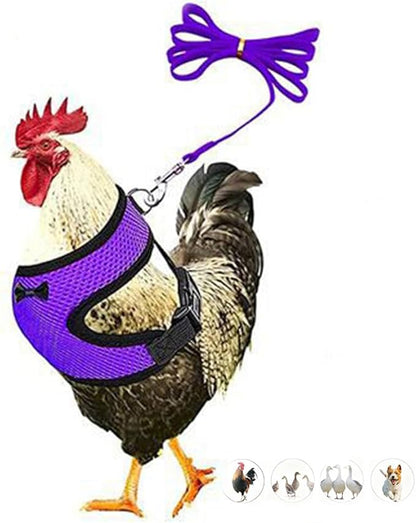 Chicken Harness and Leash Set Adjustable Mesh Breathable Duck Training Harness Pets Leashs for Goose Hen Rooster Parrots Dog Kitten, Purple L