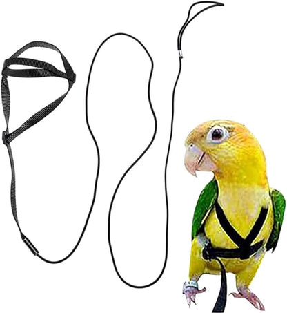 Adjustable Bird Harness and Leash,Anti-Escape Durable Nylon Parrot Harness, Flying Training Rope Parrot Leash for Small Medium Large Breed Parrots Fits Chest Under 20'', Black M