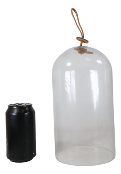 Ebros Gift Large 9.75" High Decorative Sleek Clear Glass Apothecary Cloche Bell Jar Centerpiece Dome Mouth Blown Glass Display Terrarium Case For Displaying Succulents Plants Sculpture Decors