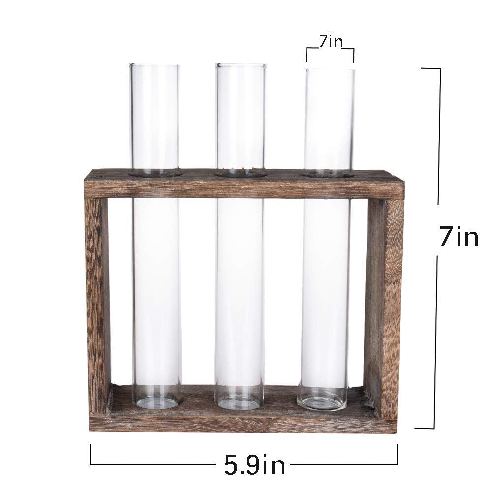 PACDONA Wooden Propagation Station with 3 Glass Test Tubes, Tabletop Glass Terrarium Holder for Cuttings Hydroponics, Home Office Desk Decor Gift for Women Mom Plant Lovers, Brown