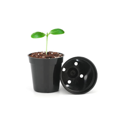 KINGLAKE 2 Inch Plastic Nursery Pots,100 Pcs Seed and Cutting Pots for Succulent Plants (Black)