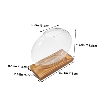BESPORTBLE 2pcs Hydroponic Plant Propagation Vessels with Wooden Stand, Glass Containers for Home and Office, Plant Terrariums for Shelf Display and Indoor Gardening