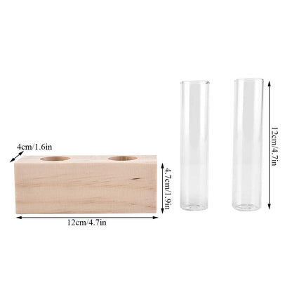Zerodis Glass Test Tube Flower Pot Elegant Hydroponic Plant Vase Terrarium Container Home Decor for Succulents Miniature Shrubs Ferns Daily Decoration