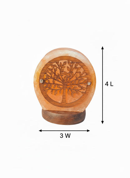NatureBoost Himalayan Salt Lamp, USB Powered, Night Light Color Changing Lamp,Unique Gift Idea (Treenew)