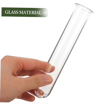 VALICLUD 6pcs Clear Glass Test Tubes for Plants Hydroponics Vase Transparent Flower Tubes Desk Terrarium Water Propagation Decorative Plant Containers