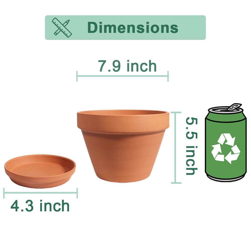 vensovo 8 Inch Terracotta Pots with Saucer - 1 Pack Large Terra Cotta Pot with Drainage Hole, Clay Planters Pot for Indoor Outdoor Plant