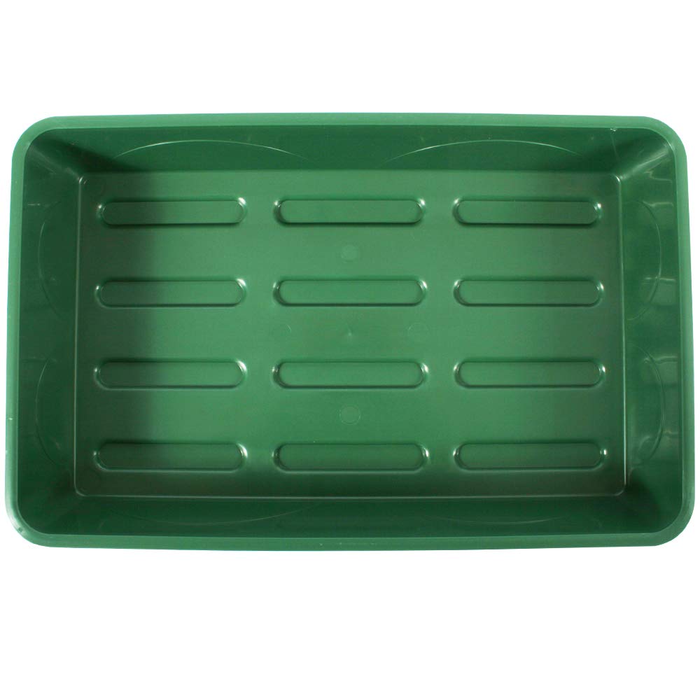EarlyGrow 70738 Medium Domed Propagator, 15" x 9" x 7", Black/Dark Green