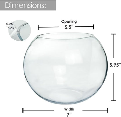 Glass Bubble, 6" Height x 8" Width Glass Fish Bowl Vase, Bubble Bowl vase for Terrarium, Flower vase Centerpiece