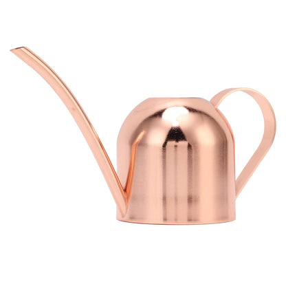 Phefop Watering Can, Stainless Steel, Large Capacity for Indoor Outdoor Plants, 1 Gallon Mini Can for Bonsai and Houseplants
