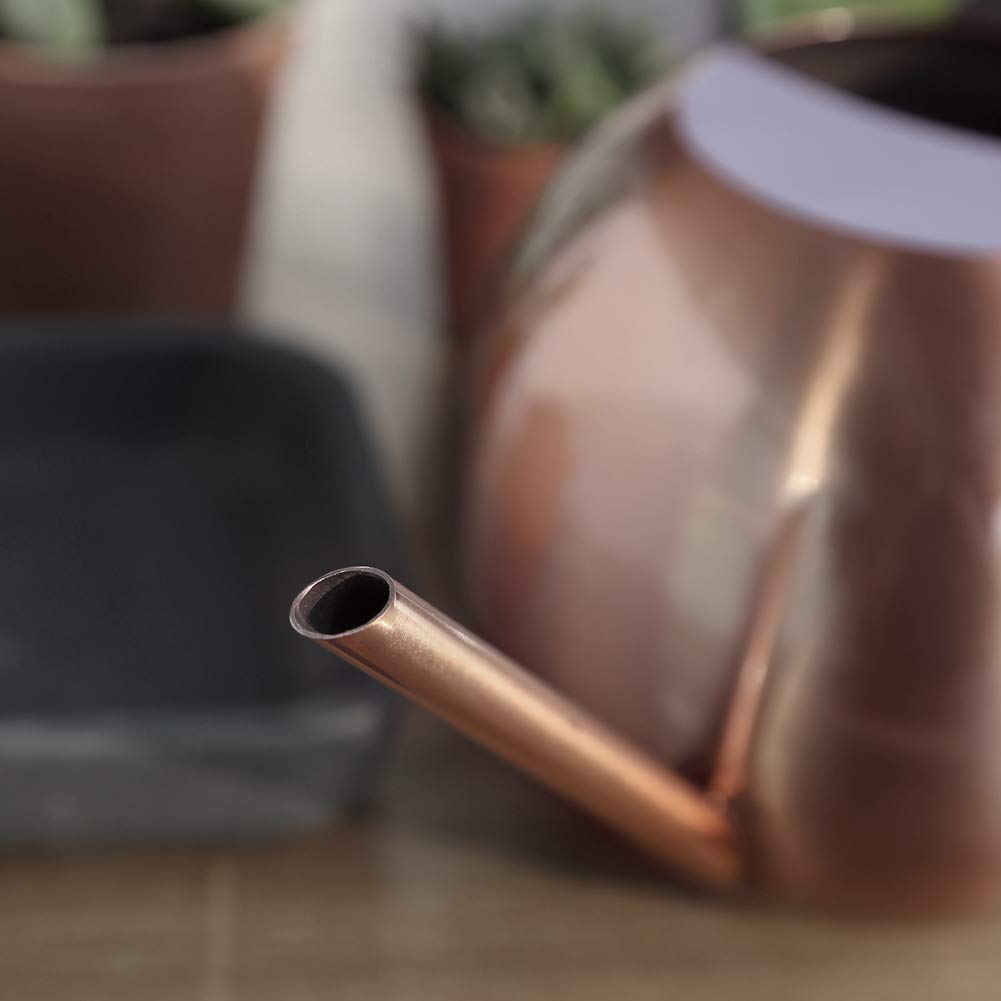 Chemlliy Watering Can with Long Spout and Comfortable Handle, 35 oz/1000ml Small Watering Can for Indoor Plants, Stainless Steel Garden Watering Pot for Indoor House Plants Bonsai Flower Decorative